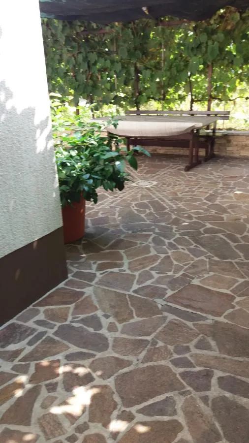 Dvorišče s kamnitimi ploščami in pergolo s trto